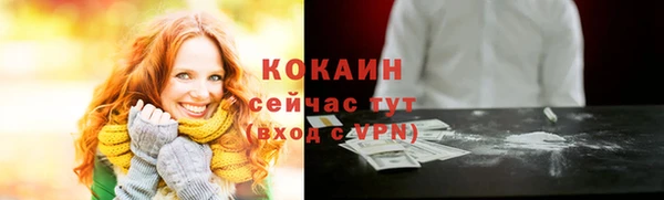 гашик Балахна