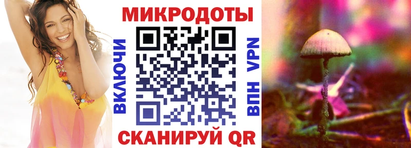 Псилоцибиновые грибы Psilocybine cubensis  кракен зеркало  Елизово 